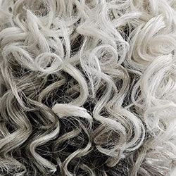 Big Spender Wig by Raquel Welch | Synthetic Lace Front
