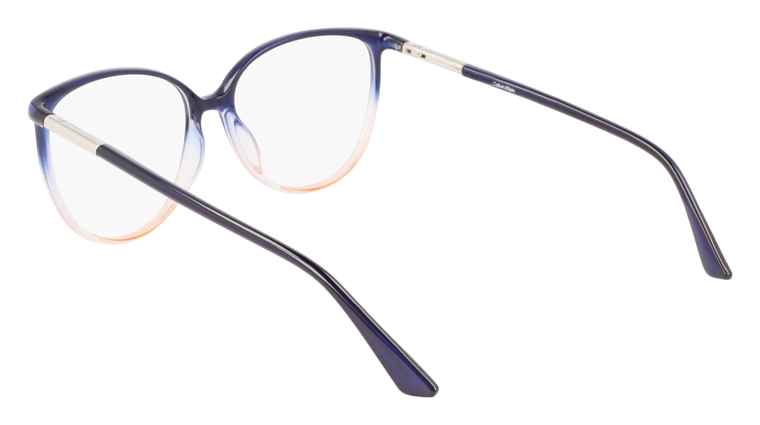 Calvin Klein CK21521 438