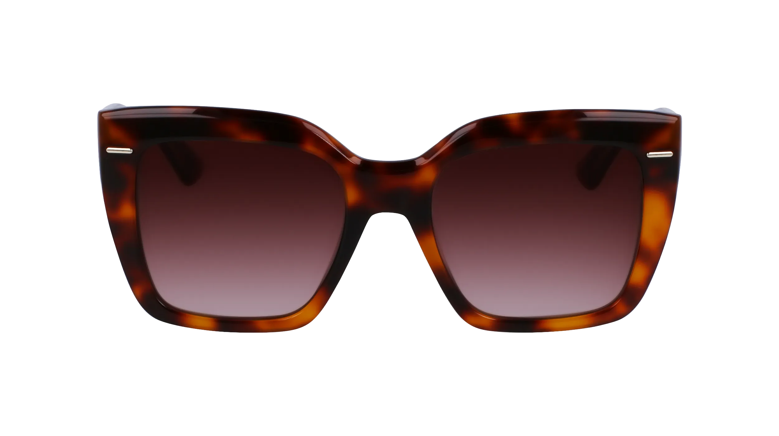 Calvin Klein CK23508S 220