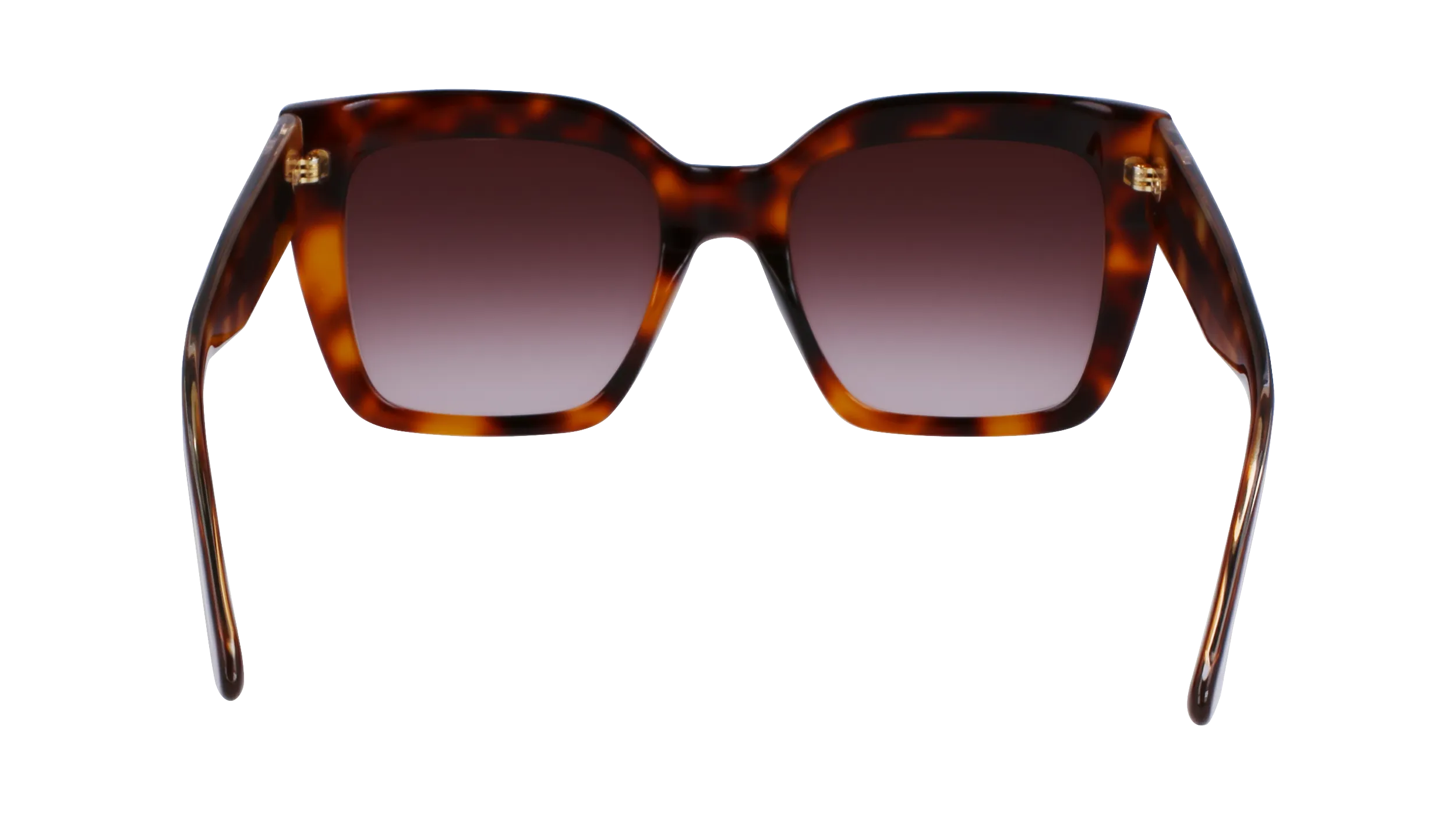 Calvin Klein CK23508S 220