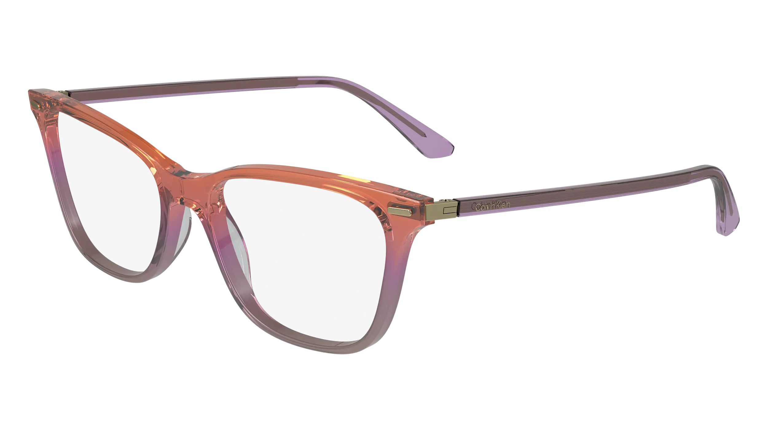 Calvin Klein CK23544 815