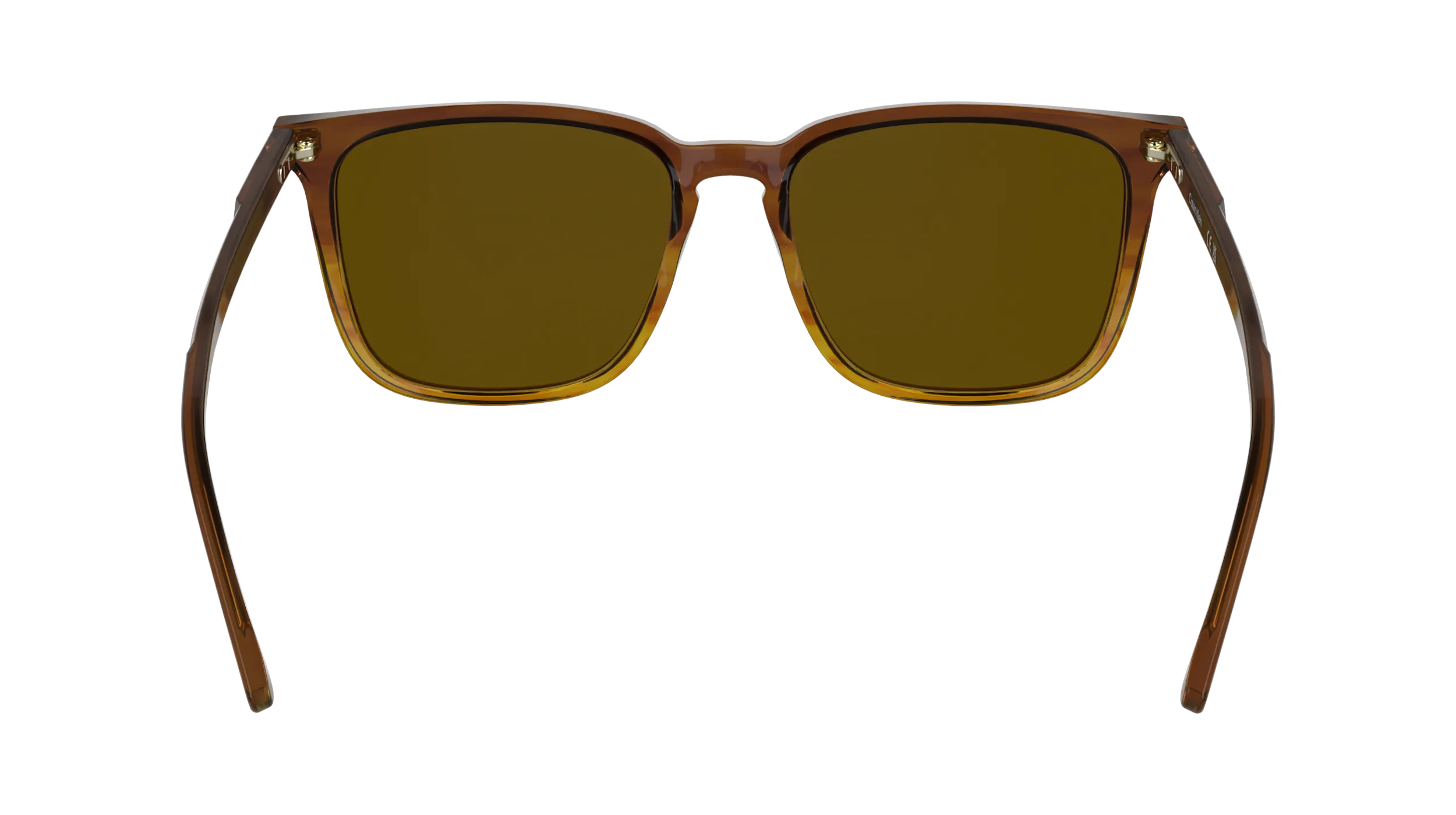 Calvin Klein CK25507S 203