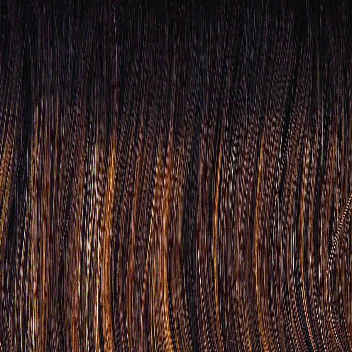 Captivating Canvas Wig by Raquel Welch | Synthetic Lace Front (Basic Cap)
