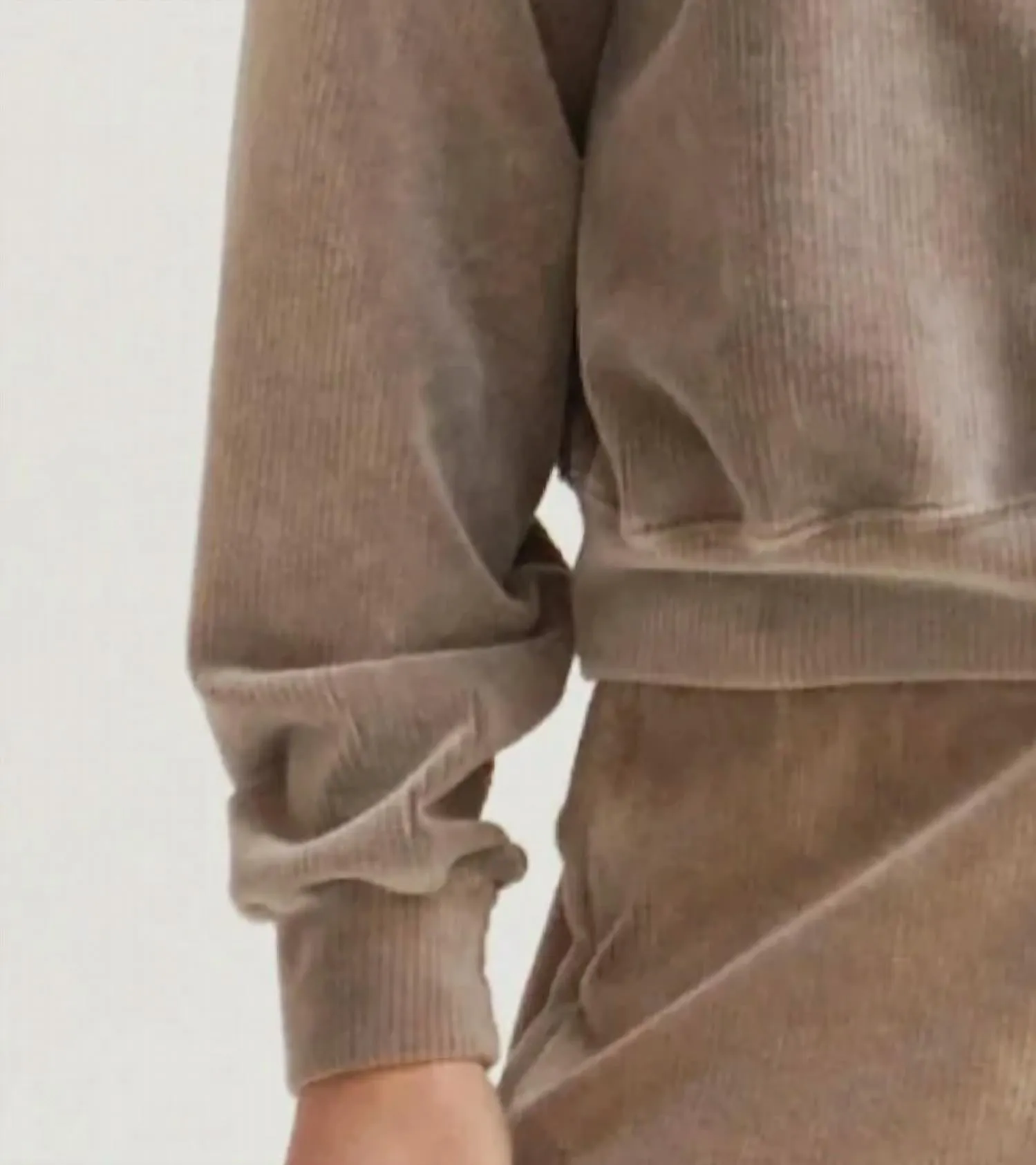 Esther Velour Zip-Up Sweatshirt In Latte