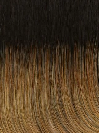 Fascination Wig by Raquel Welch | Heat Friendly Synthetic (Traditional Cap)