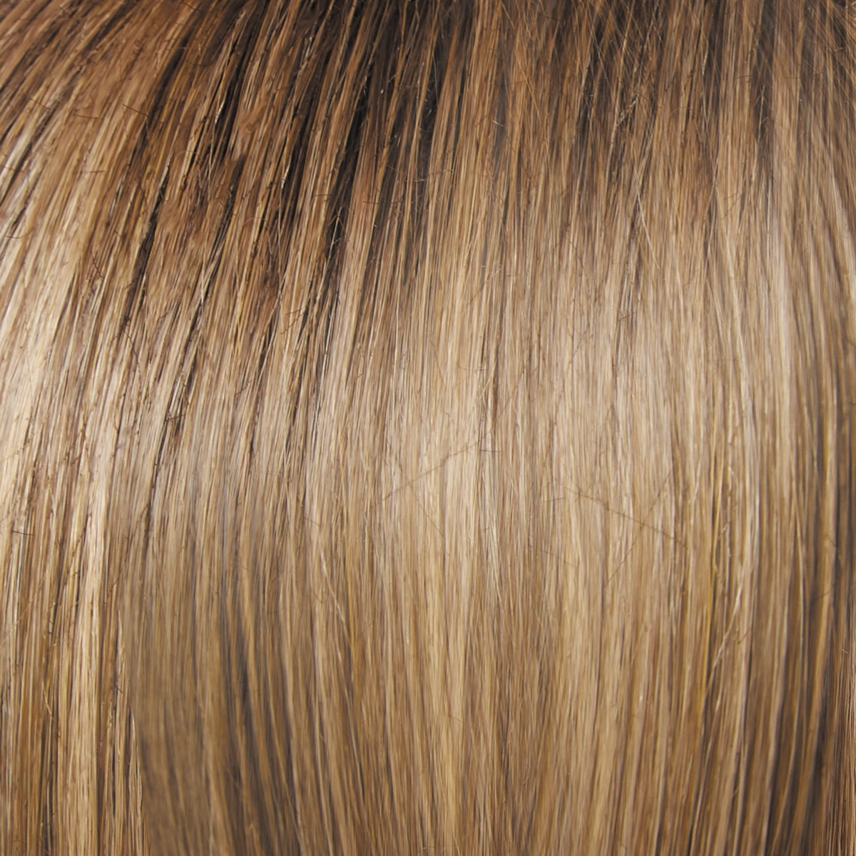 Monologue Wig by Raquel Welch | Heat Friendly Synthetic (Lace Front Mono)
