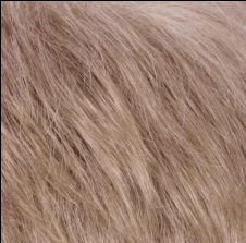 Petite Kate Wig by Estetica Designs | Synthetic (Traditional Cap)