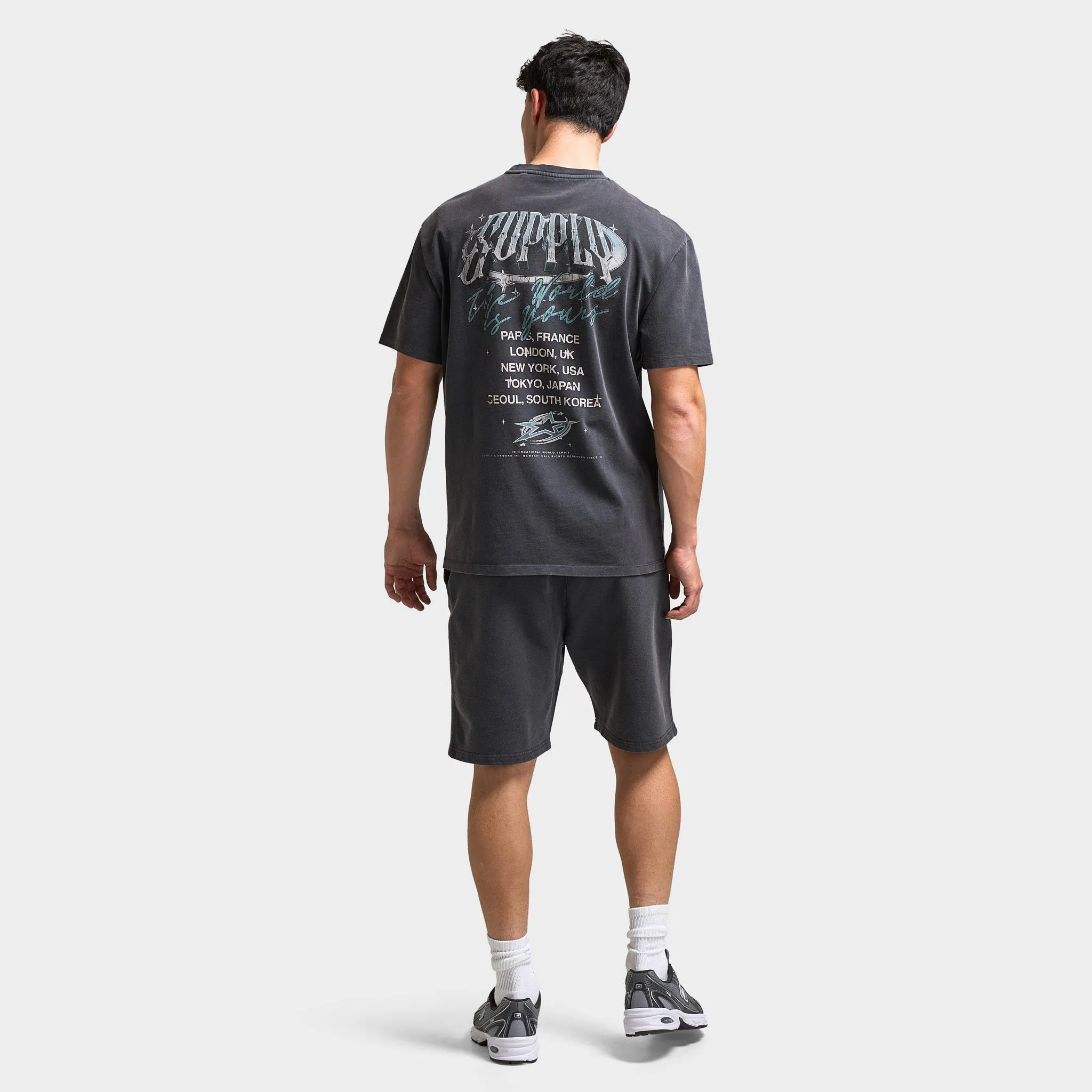 Supply & Demand Supply & Demand Chrome Star Graphic T-Shirt / Washed Black