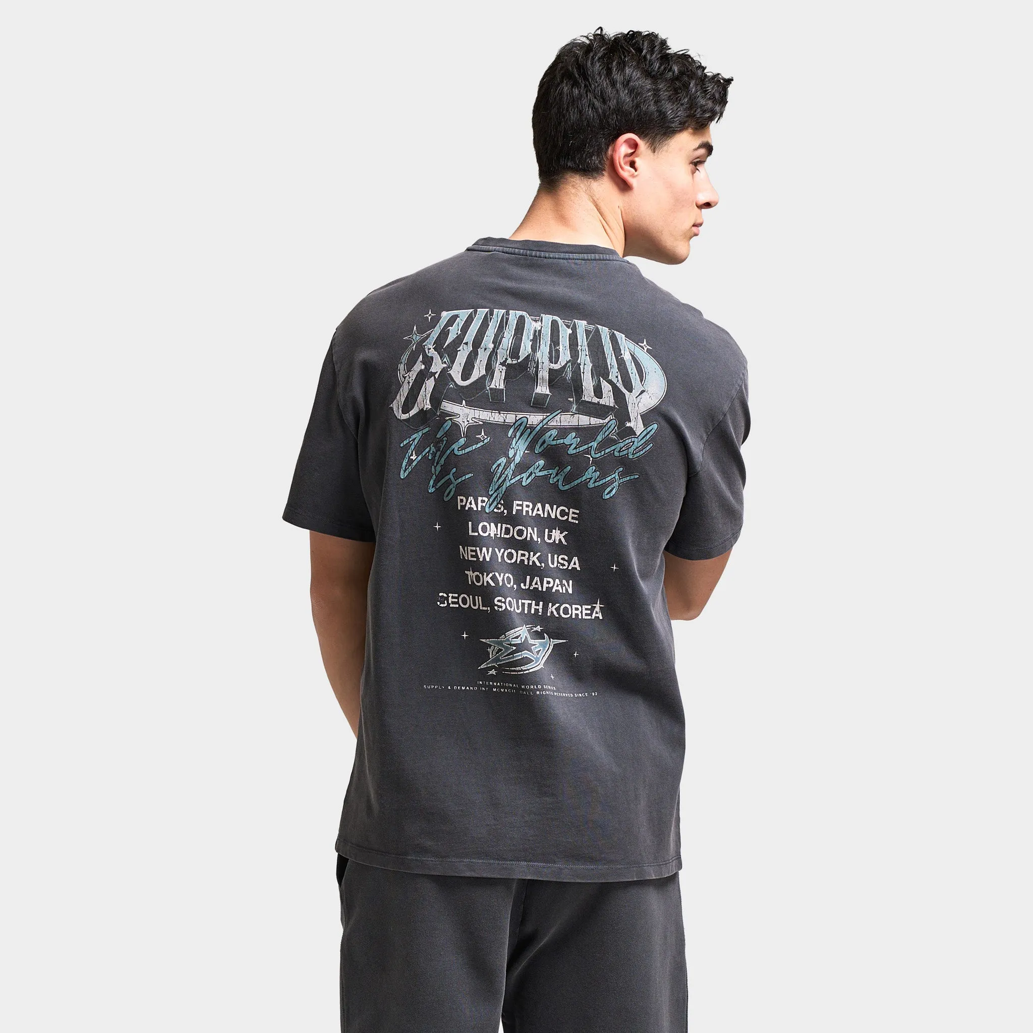 Supply & Demand Supply & Demand Chrome Star Graphic T-Shirt / Washed Black