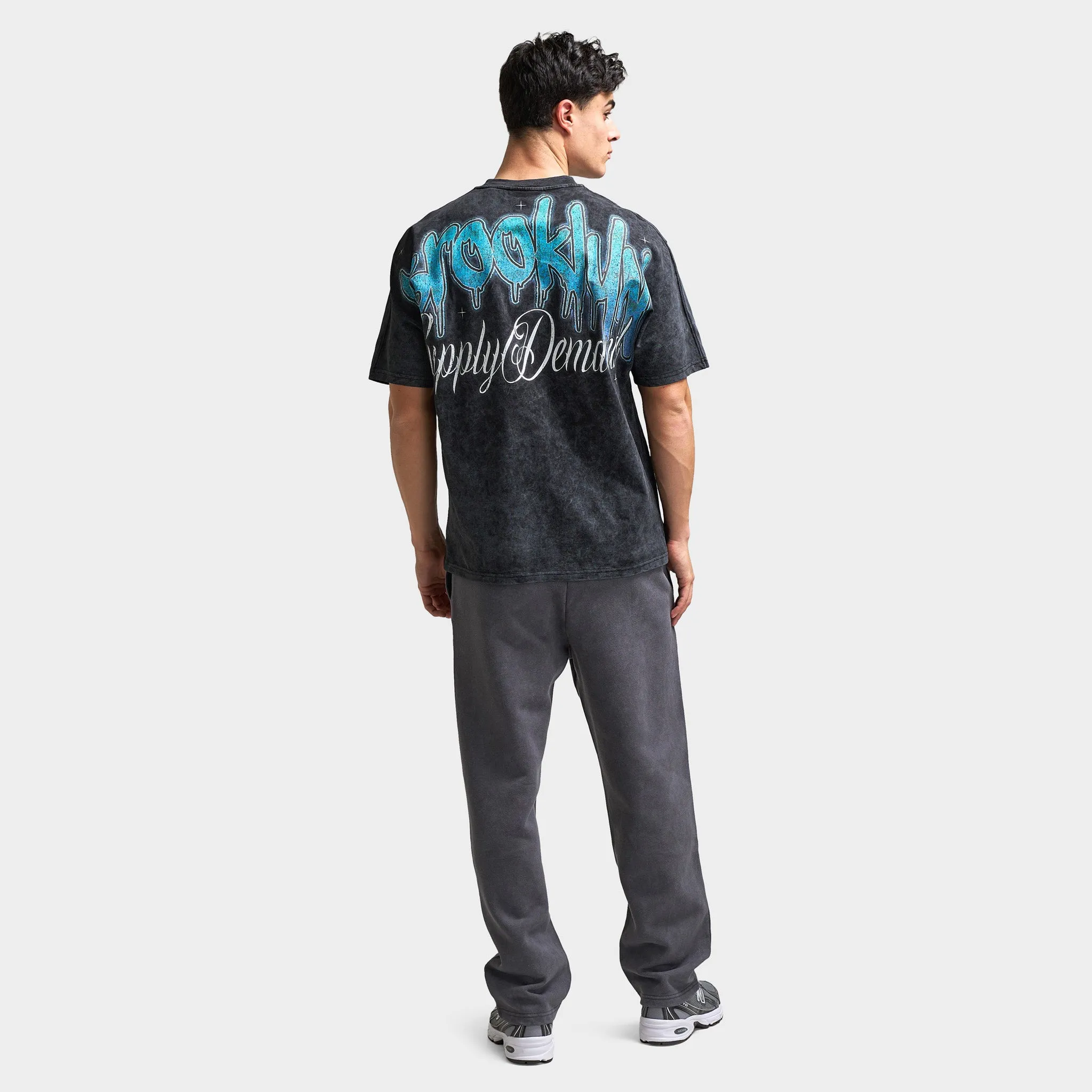 Supply & Demand Supply & Demand Irvine Graphic T-Shirt / Washed Black