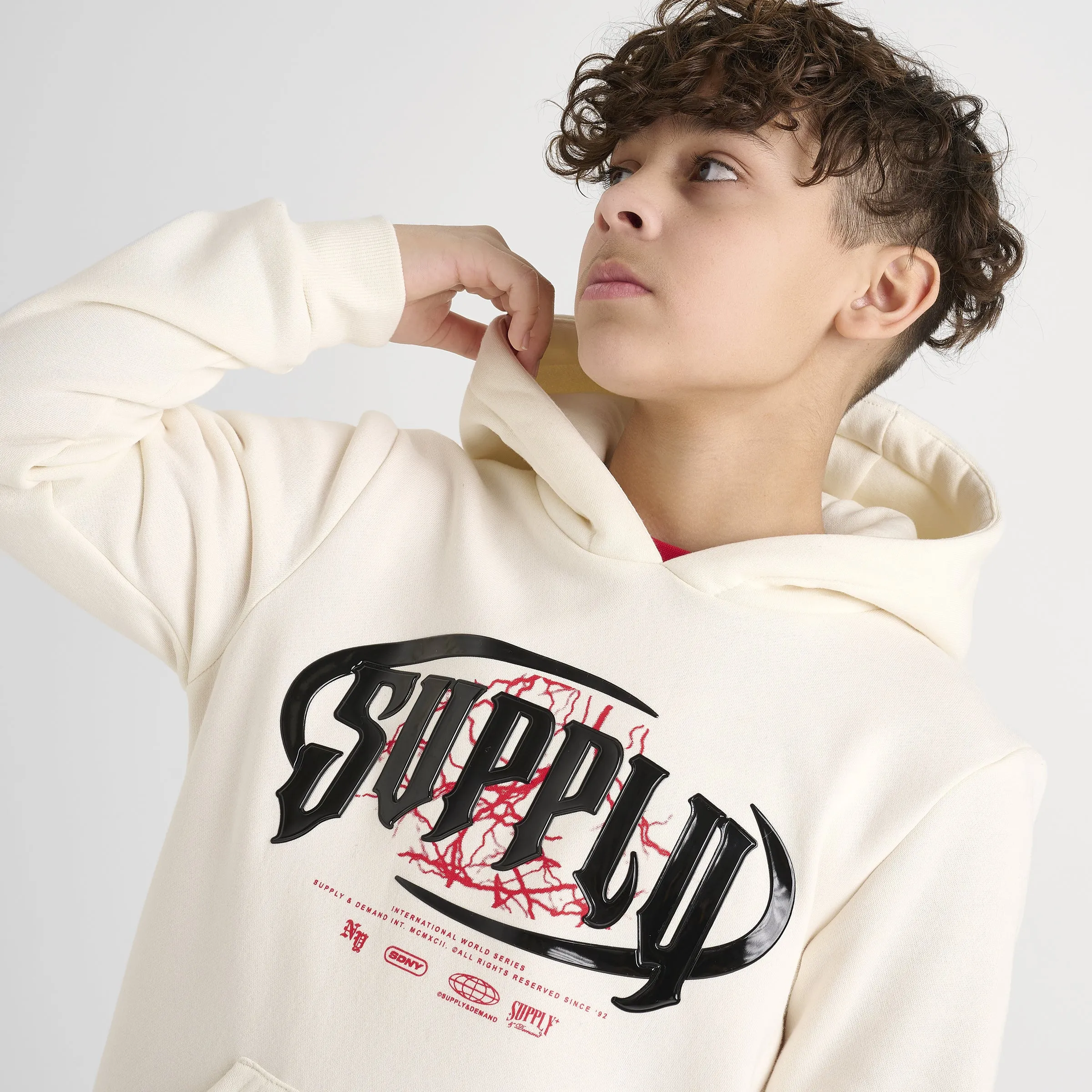 Supply & Demand Supply & Demand Junior Boys' Chrome Hoodie Tofu / Chinese Red