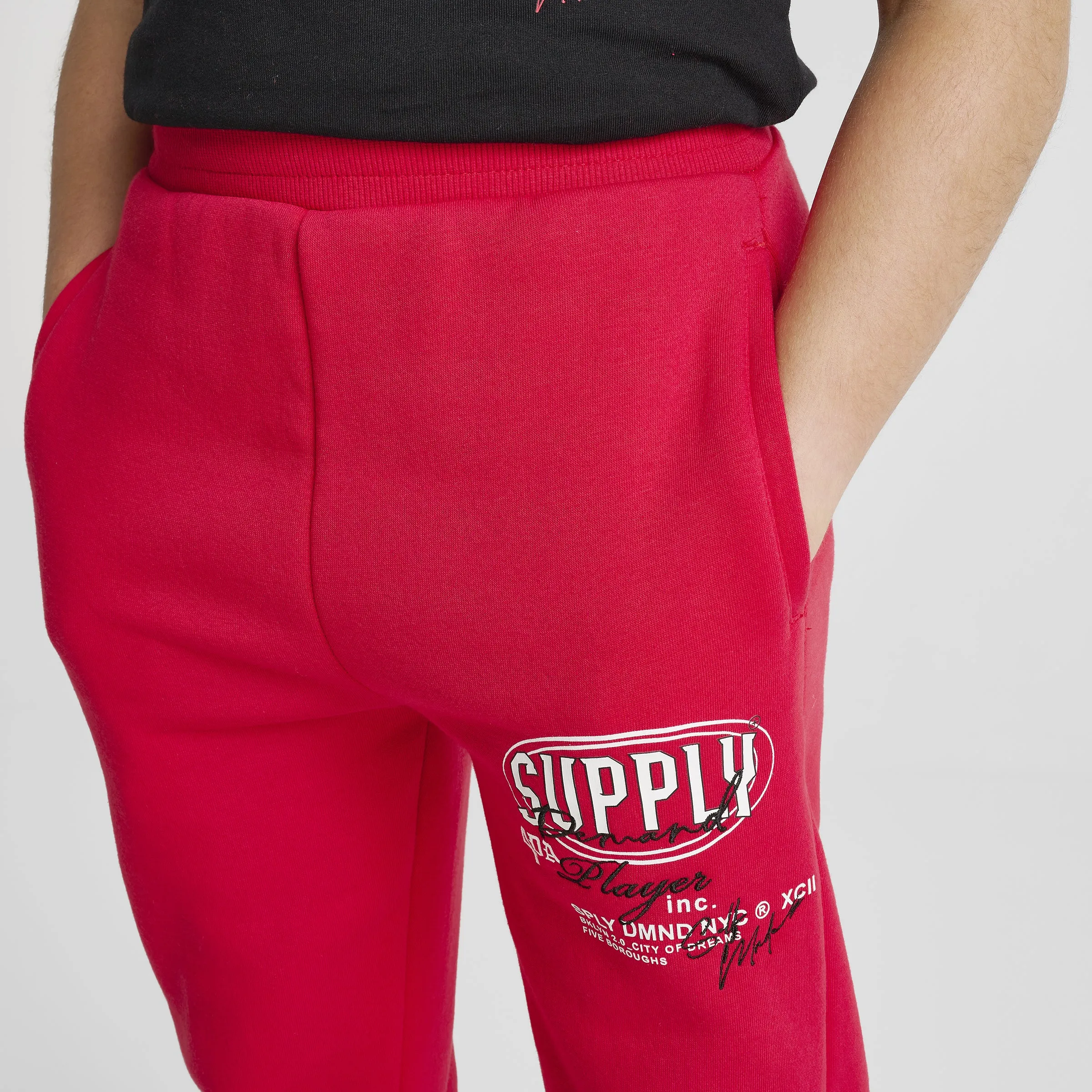 Supply & Demand Supply & Demand Junior Boys' Targon Joggers / Chinese Red