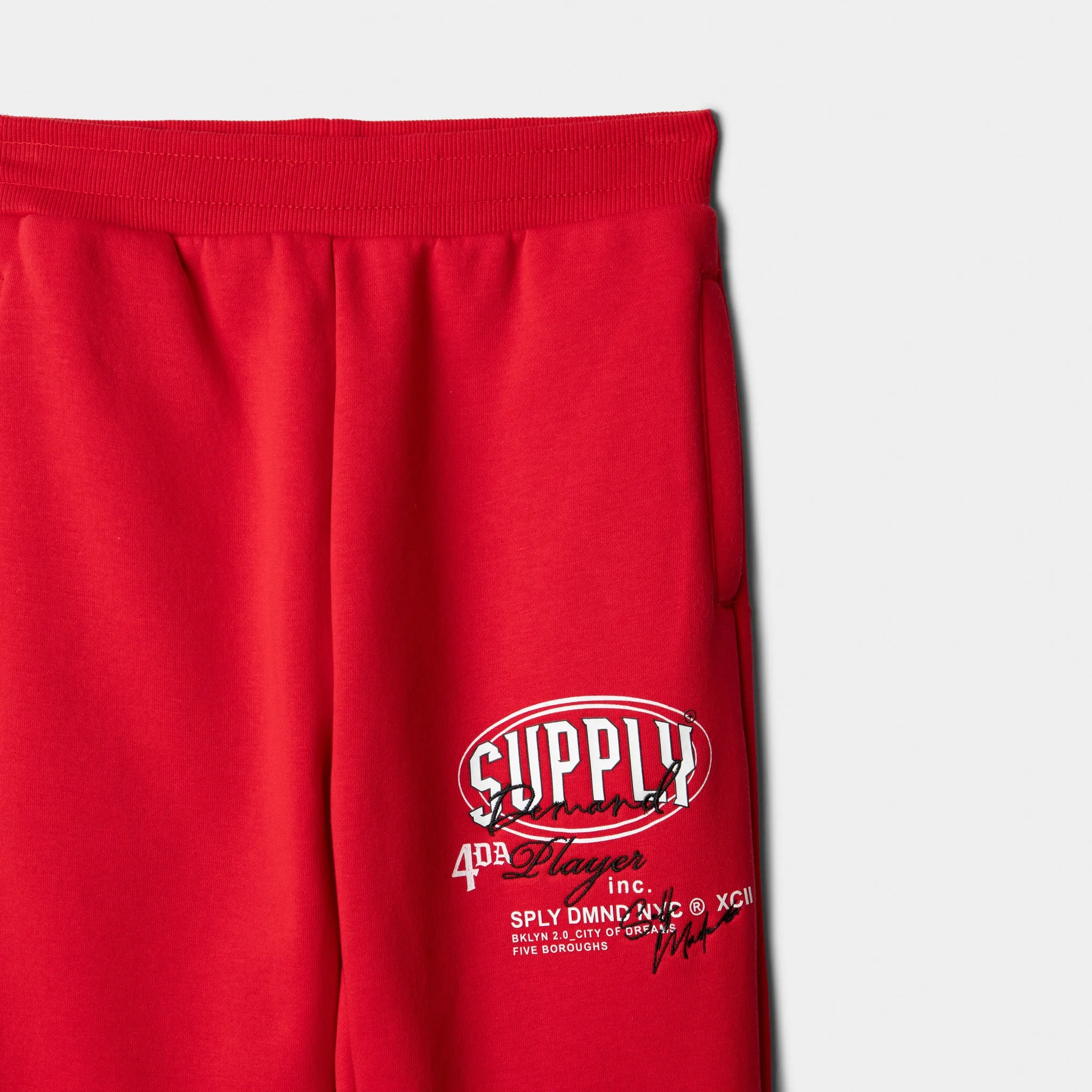 Supply & Demand Supply & Demand Junior Boys' Targon Joggers / Chinese Red