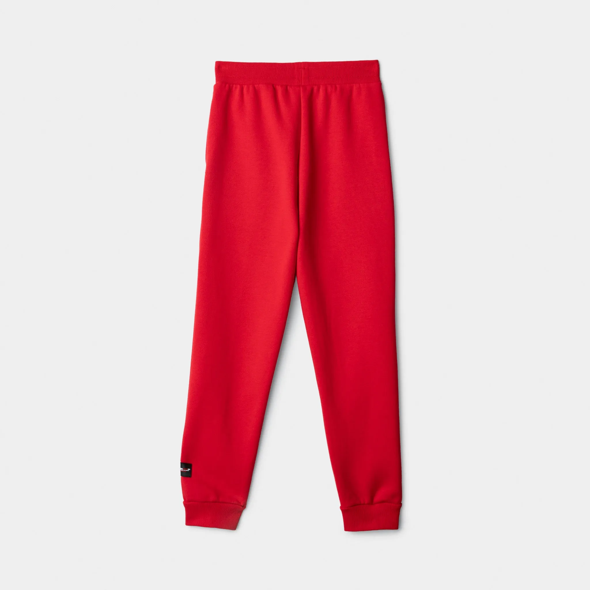 Supply & Demand Supply & Demand Junior Boys' Targon Joggers / Chinese Red