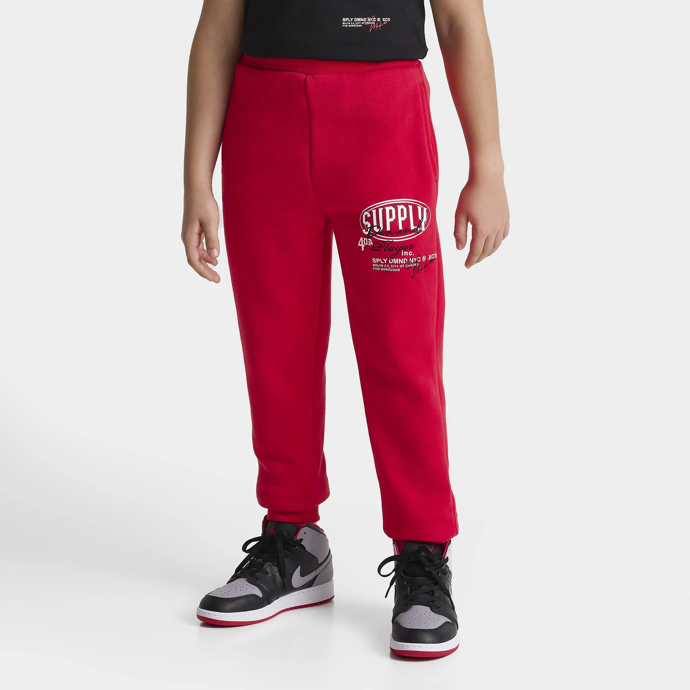 Supply & Demand Supply & Demand Junior Boys' Targon Joggers / Chinese Red