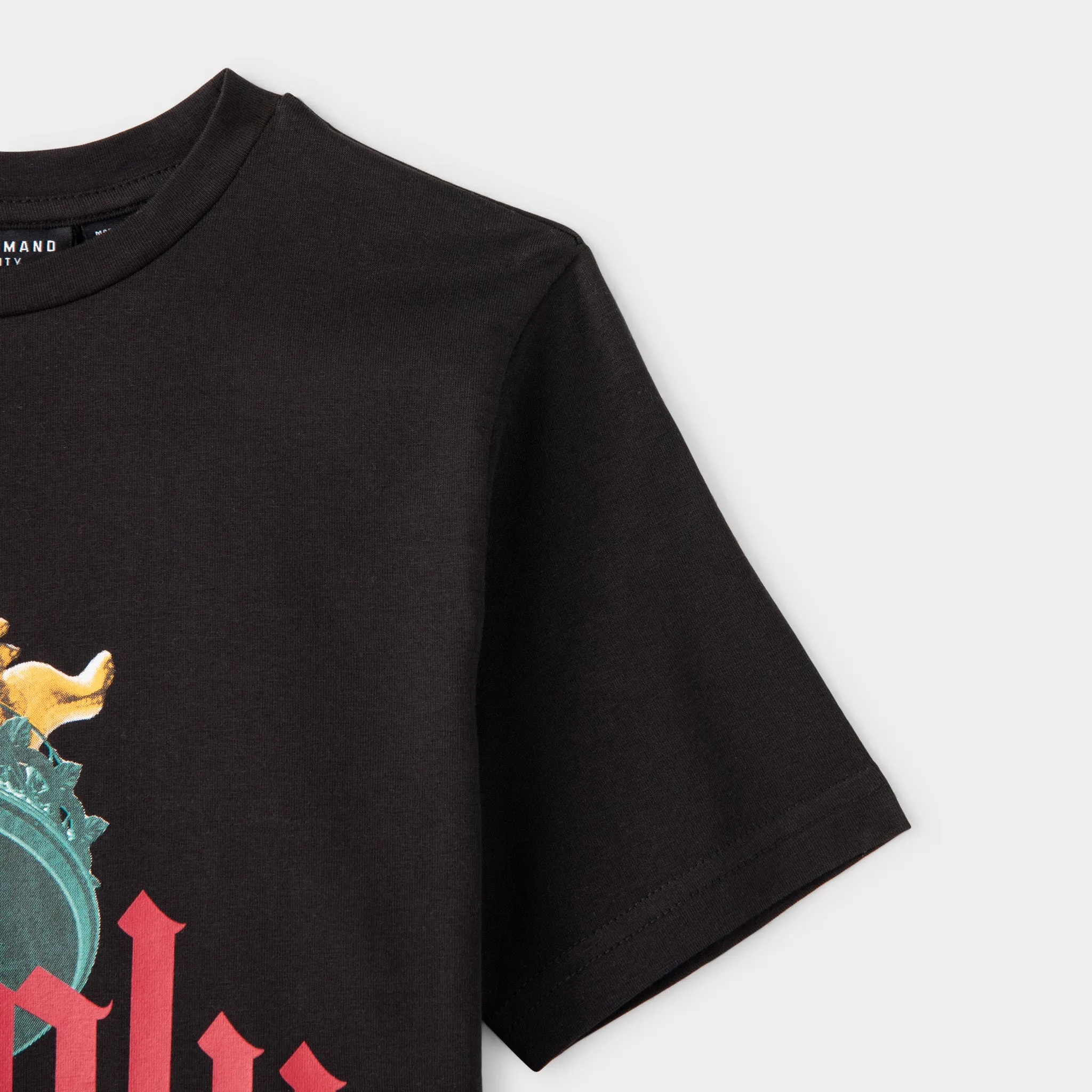 Supply & Demand Supply & Demand Junior Boys' Torch T-shirt / Black