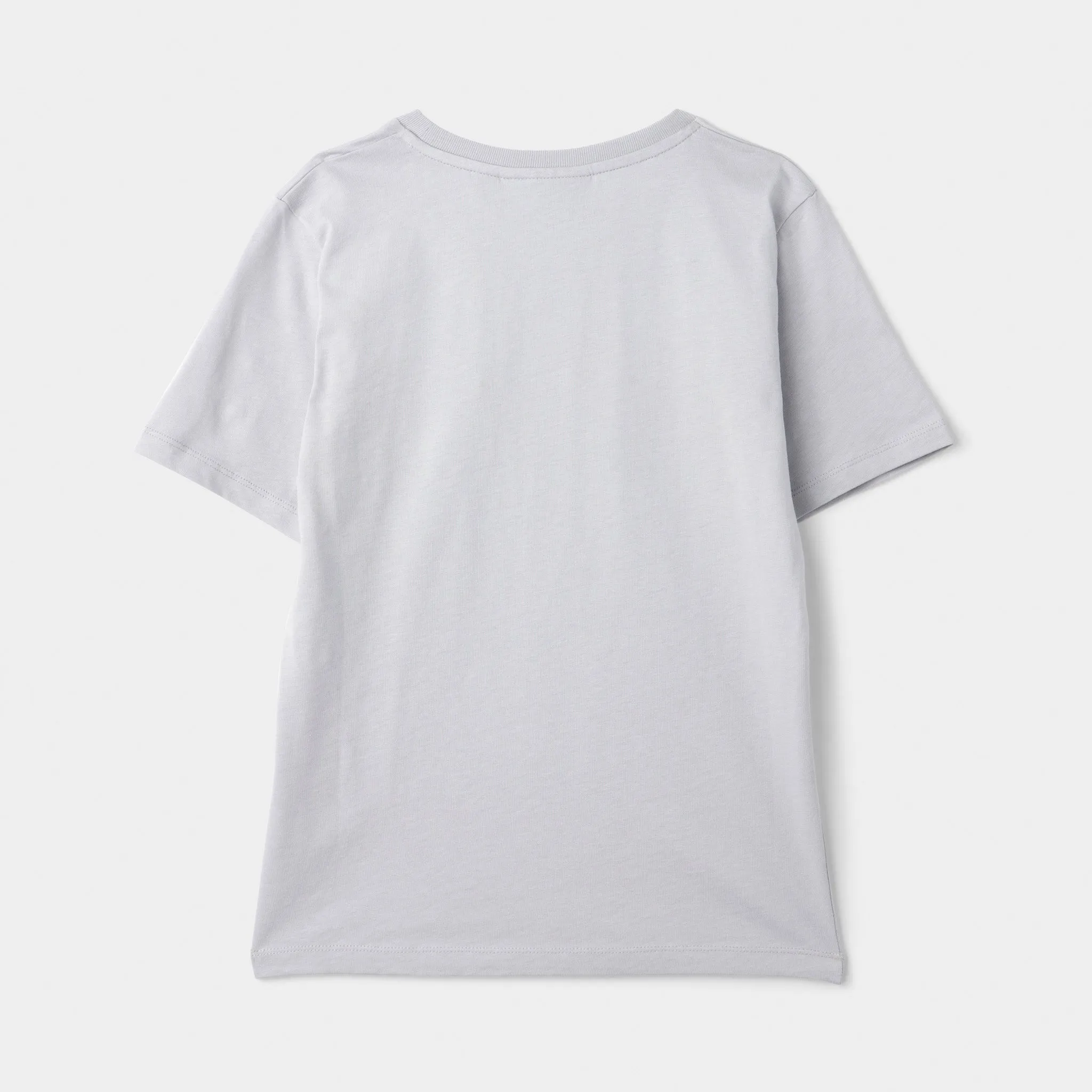 Supply & Demand Supply & Demand Junior Boys' Zuni Graphic T-Shirt / Micro Chip