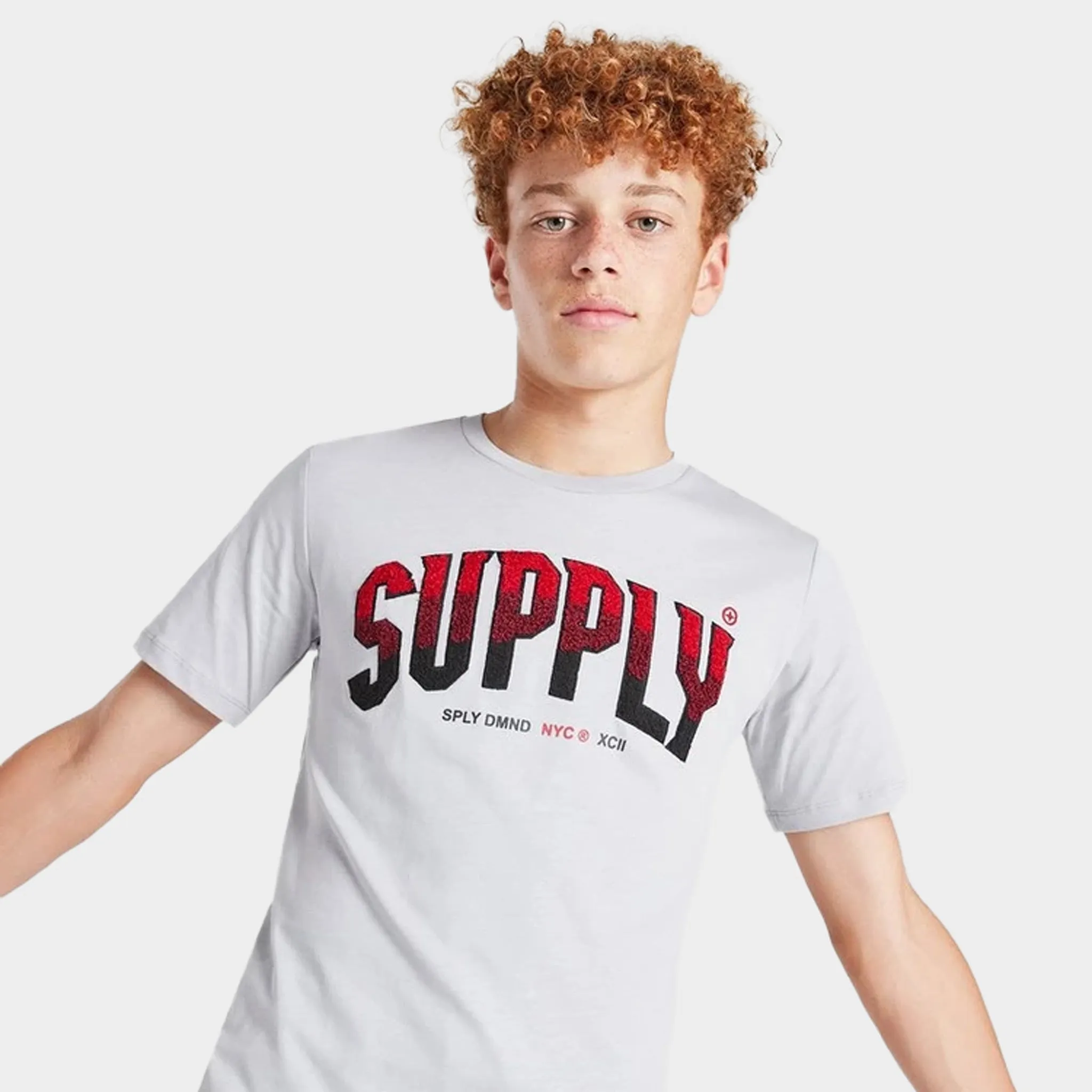 Supply & Demand Supply & Demand Junior Boys' Zuni Graphic T-Shirt / Micro Chip