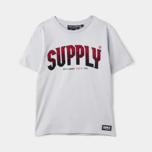 Supply & Demand Supply & Demand Junior Boys' Zuni Graphic T-Shirt / Micro Chip