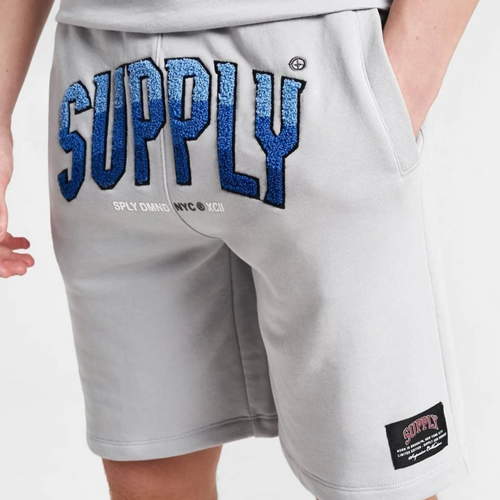 Supply & Demand Supply & Demand Junior Boys' Zuni Shorts / Grey