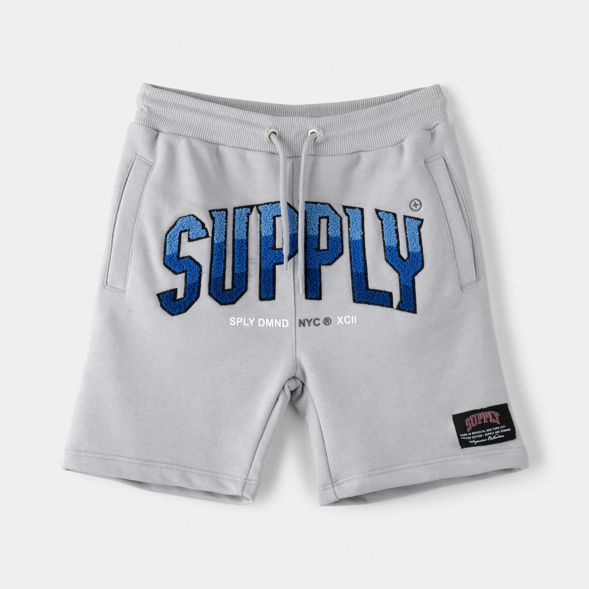 Supply & Demand Supply & Demand Junior Boys' Zuni Shorts / Grey
