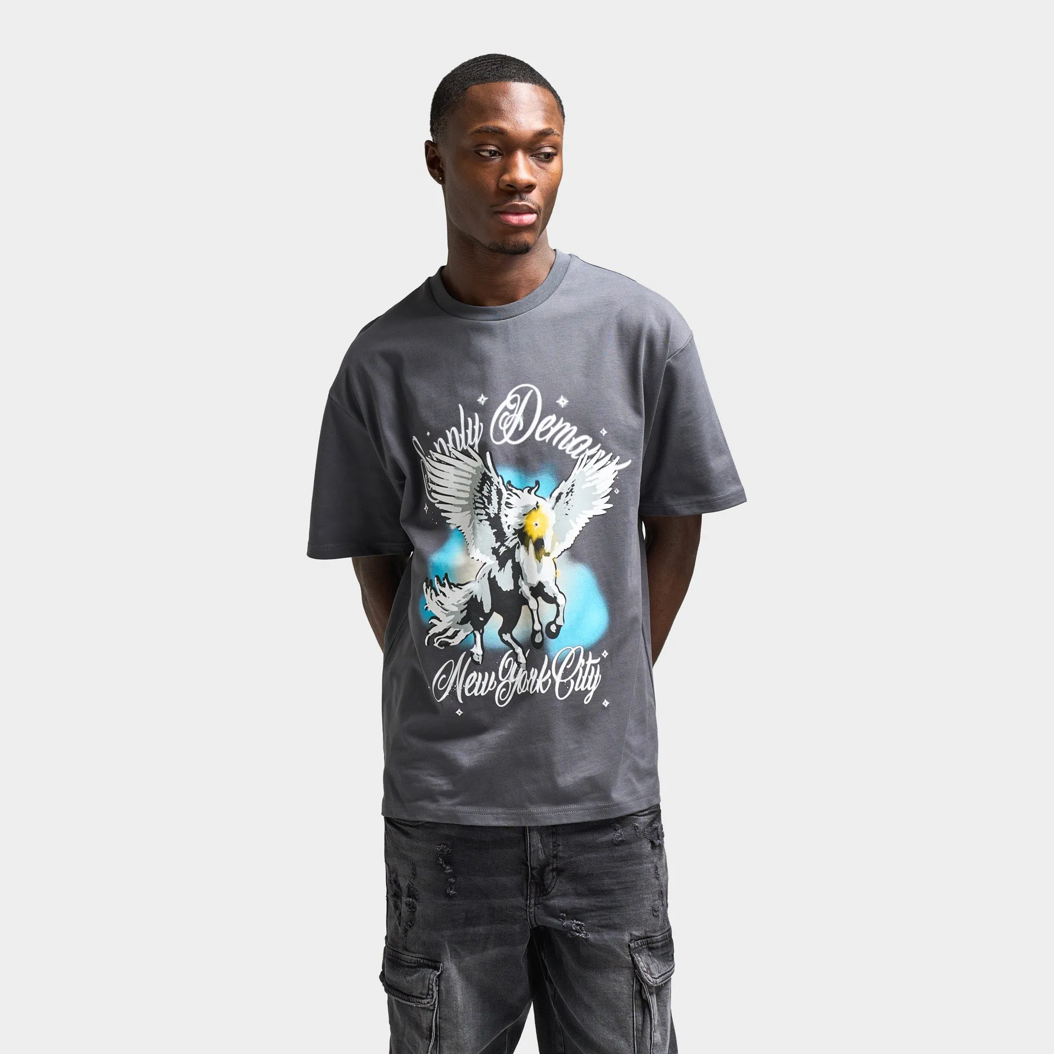 Supply & Demand Supply & Demand Pegasus Graphic T-Shirt / Irongate