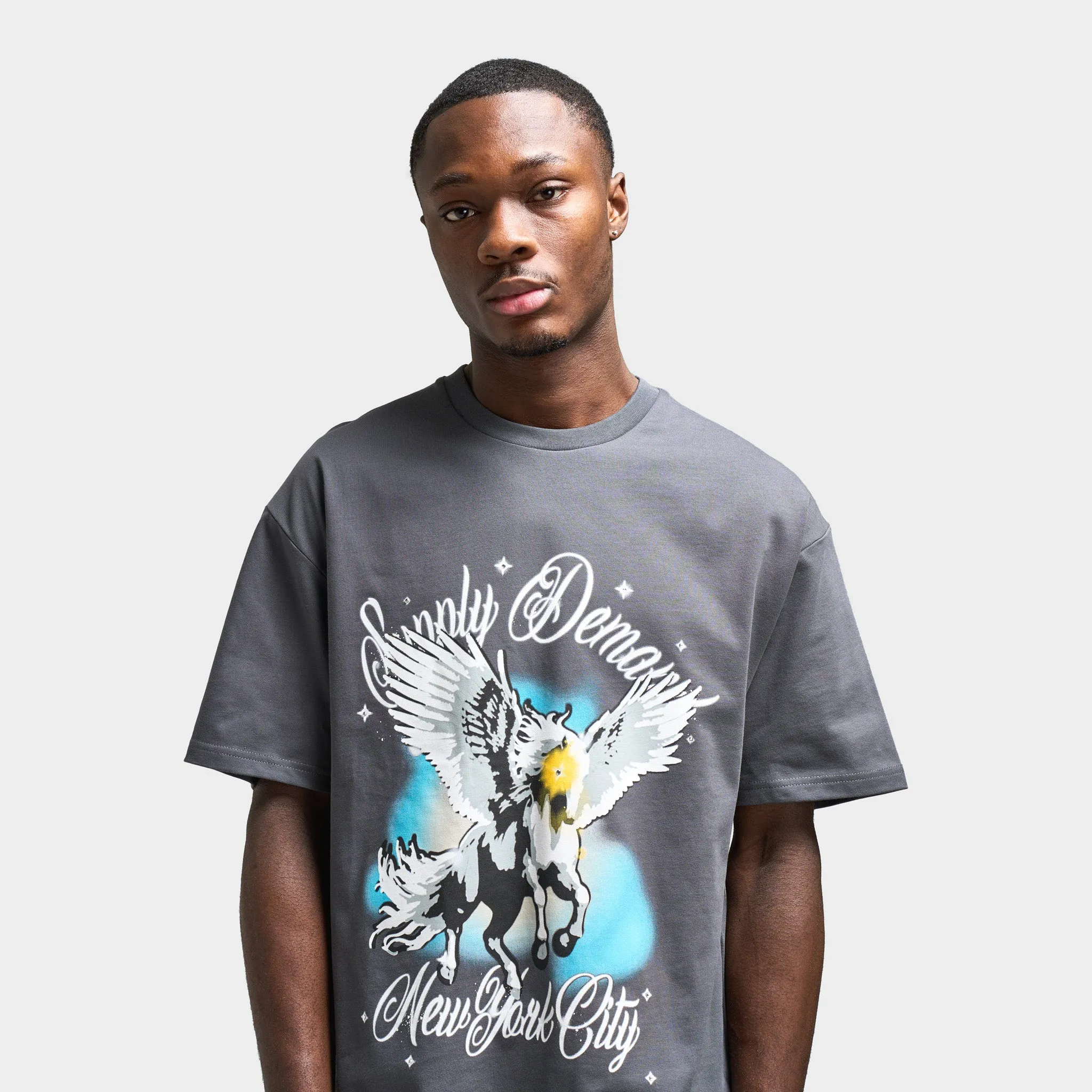 Supply & Demand Supply & Demand Pegasus Graphic T-Shirt / Irongate