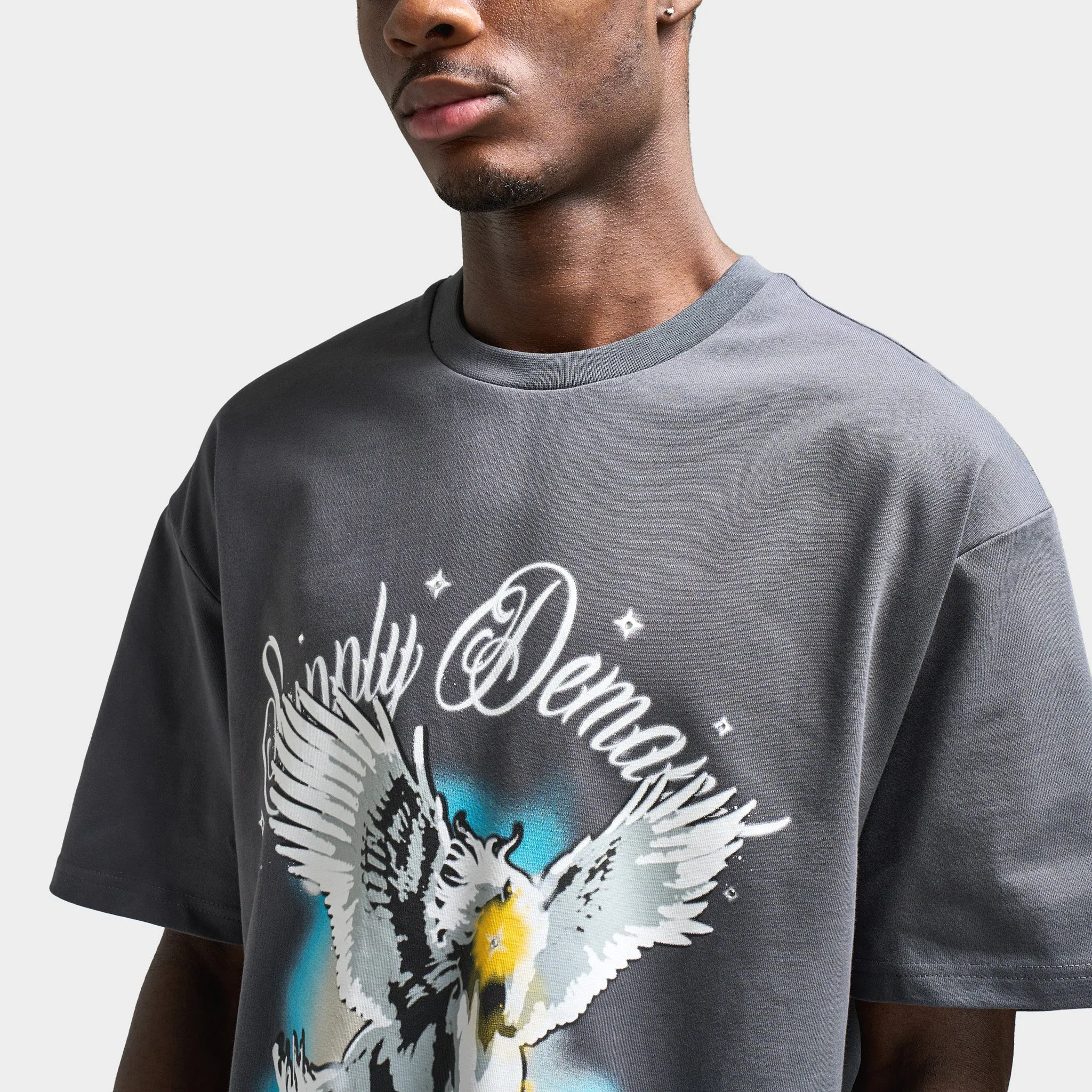 Supply & Demand Supply & Demand Pegasus Graphic T-Shirt / Irongate
