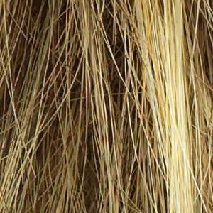 Winner Wig by Raquel Welch | Synthetic (Traditional Cap)